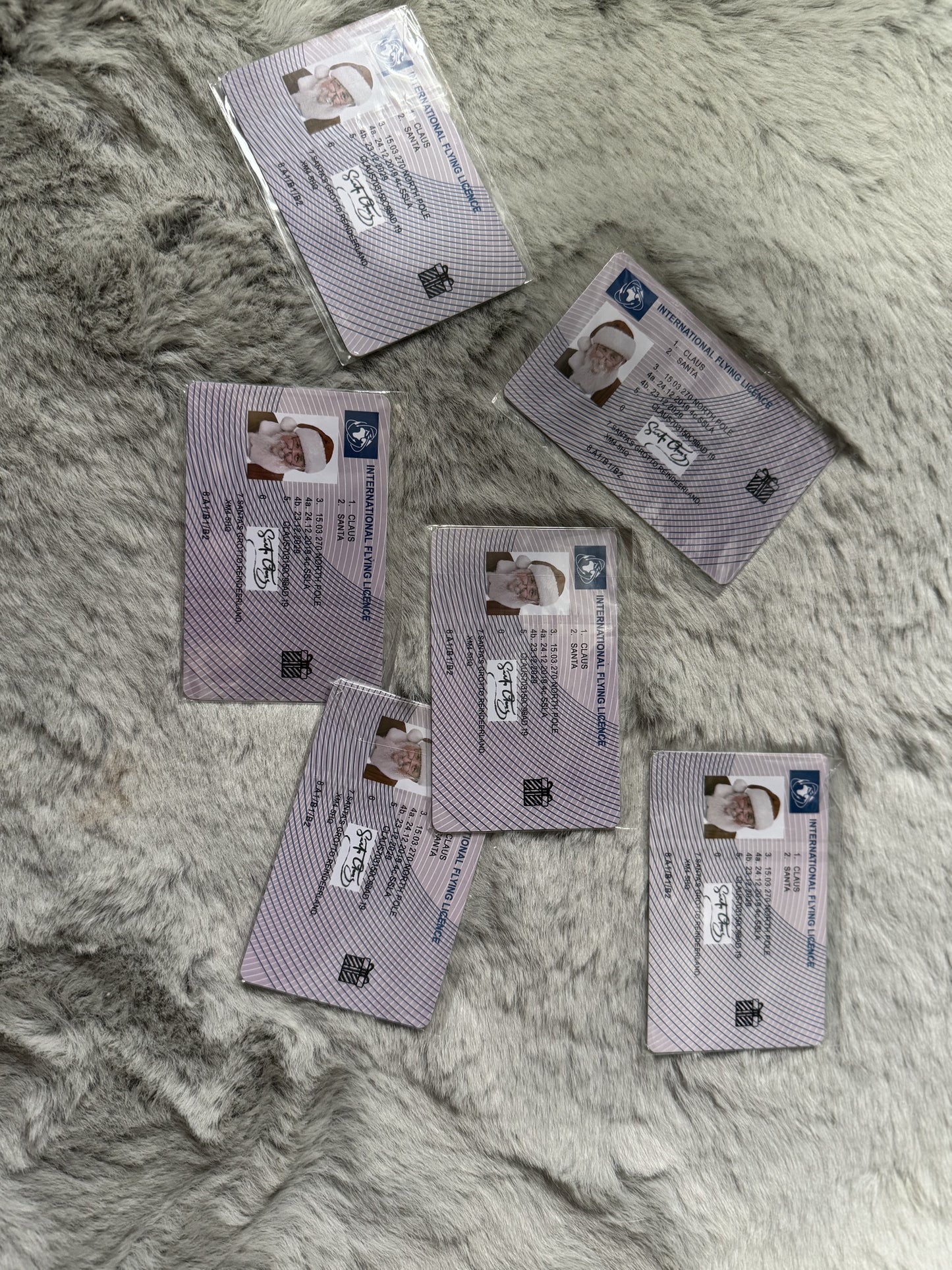 Santa License